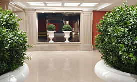 Пентхаус, Лот №220707, Жилой комплекс «Ренессанс», Москва, ВАО, Сокольники, м. Сокольники, 2 корпуса: 1) ул. Матросская Тишина 12